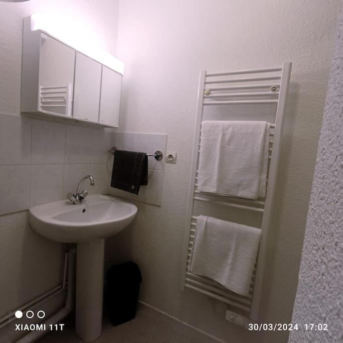 Villeurbanne Centre Appartement Meuble Exterior photo